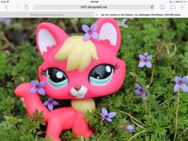 Shaytardsbratayleykittiesmama Shaytardsbratayleykittiesmama