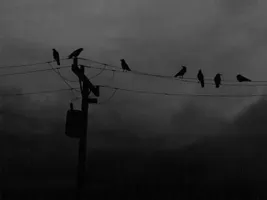 Death_Raven Death_Raven