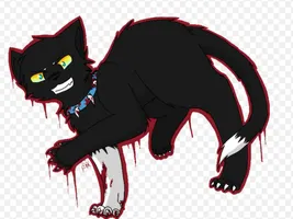ScourgeRulesWantToBeMates ScourgeRulesWantToBeMates