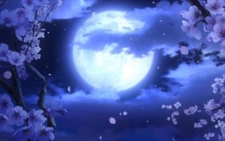 mizuki_moonchild mizuki_moonchild