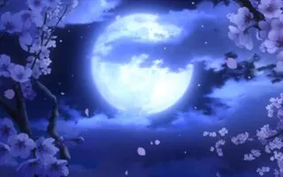 mizuki_moonchild mizuki_moonchild