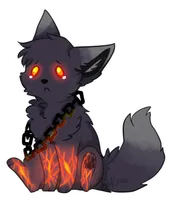 Darky_the_Wolf_Dog Darky_the_Wolf_Dog