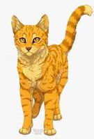 Warriorcatstar Warriorcatstar