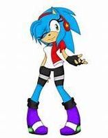 Cassandra_the_Hedgehog Cassandra_the_Hedgehog
