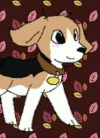 Puppy.Lover122 Puppy.Lover122