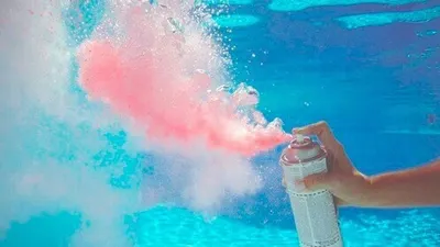 's Photo