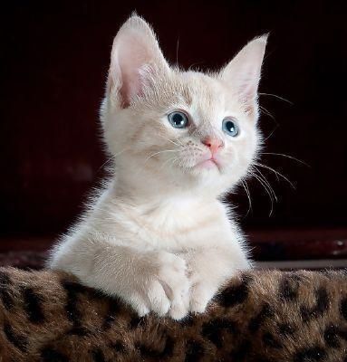 's Photo