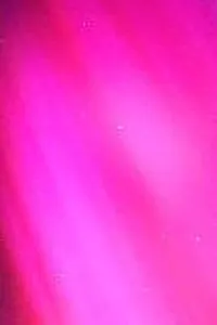Video Star Fan Page