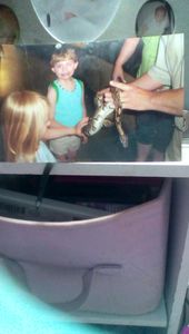 Your Baby Pictures!'s Photo Your Baby Pictures!'s Photo