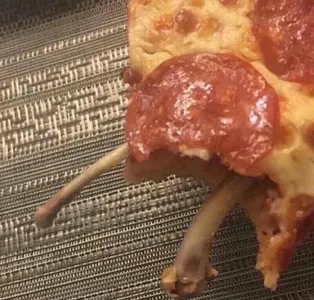 Pizza Lovers Unite!'s Photo Pizza Lovers Unite!'s Photo