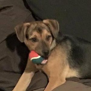 Your Pets Page!'s Photo Your Pets Page!'s Photo
