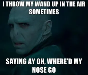 Harry Potter Memes (1)'s Photo
