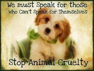 Stop The Abuse!'s Photo