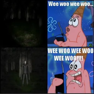 Funny Videos :)