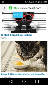 Weird Qfeast Ads's Photo