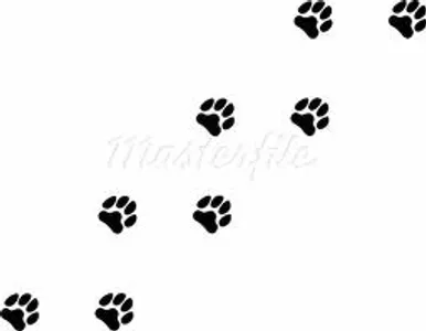 Puppy page