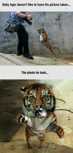 Cute Pictures of animals!'s Photo