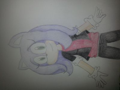 Sonic OC drawings (Taking Requests)'s Photo Sonic OC drawings (Taking Requests)'s Photo