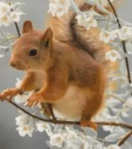 Cute Pictures of animals!'s Photo