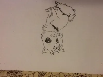 Drawing Contests for All!!!'s Photo