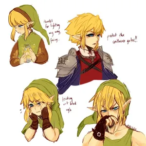 Link's Photo