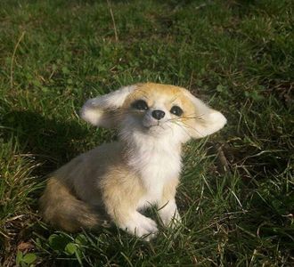 cutie pie animals :3's Photo
