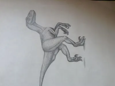 Drawing Contest! (4)'s Photo