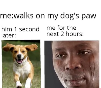 meme hub's Photo