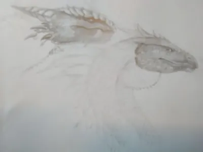 My dragon art page?'s Photo