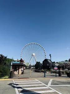 Pictures I took on Vacation!'s Photo