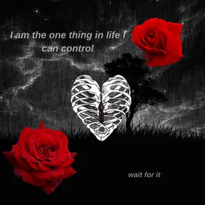 moodboards by oliver's Photo