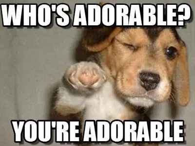 Memes, Jokes, and Things to Cheer You Up!'s Photo