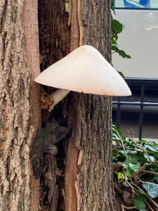 identishit's Photo