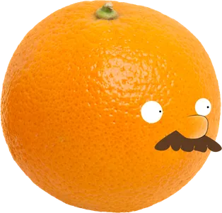 Cursed images's Photo