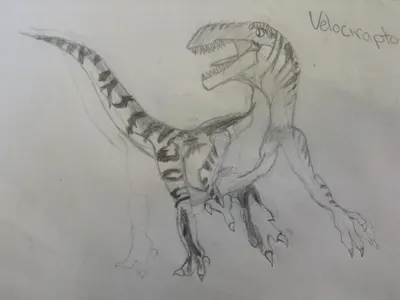 Drawing Contest! (4)'s Photo