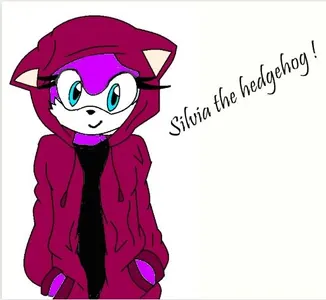 Sonic fans stick together!'s Photo