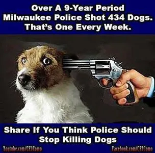 Animal Abuse Needs To STOP!!'s Photo