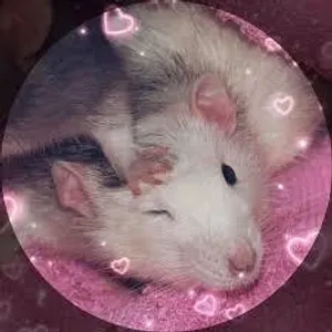 Cute matching pfp's >w<'s Photo