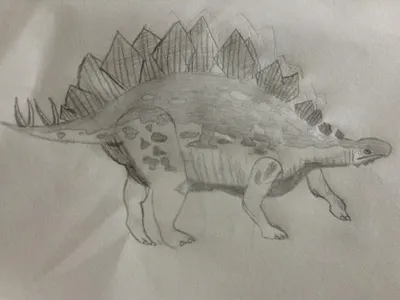 Drawing Contest! (4)'s Photo