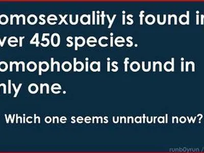 Supporting Gay Relations's Photo