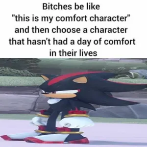 Sonic the Hedgehog's Photo