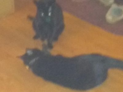 My Randomness Page!'s Photo My Randomness Page!'s Photo