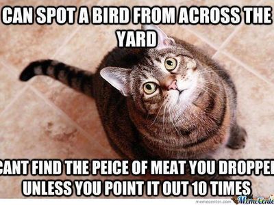 Public you vs You at home