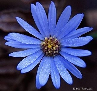 What ur birthstone color?'s Photo What ur birthstone color?'s Photo