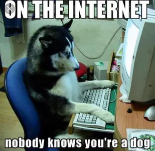 Husky lovers only!'s Photo