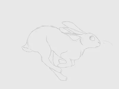 Matthew's Drawings's Photo