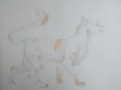 My dragon art page?'s Photo