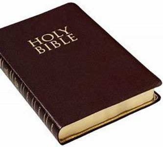 daily bible verses