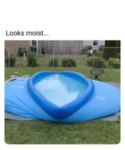 dark humor hub's Photo
