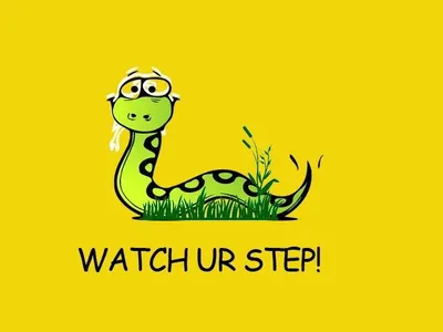 Snek memes!'s Photo
